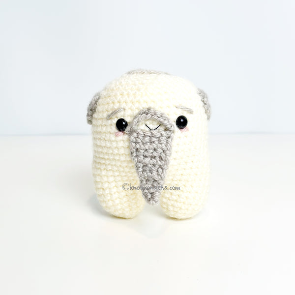 Dentist Edition (DIGITAL EBOOK)