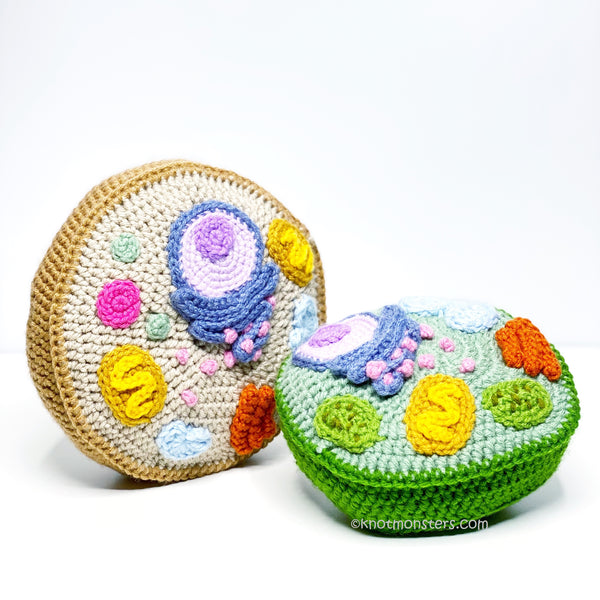 Biology Edition (DIGITAL EBOOK)