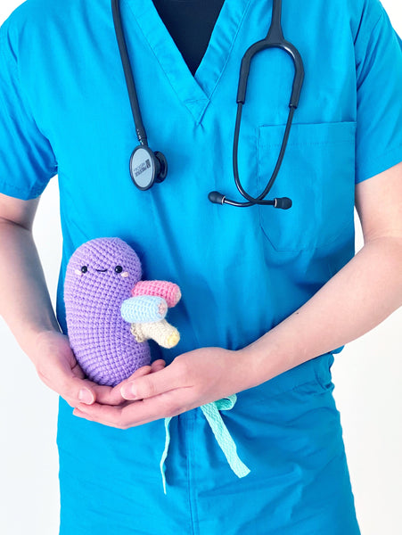 Anatomical Kidney - Organs (DIGITAL PATTERN)