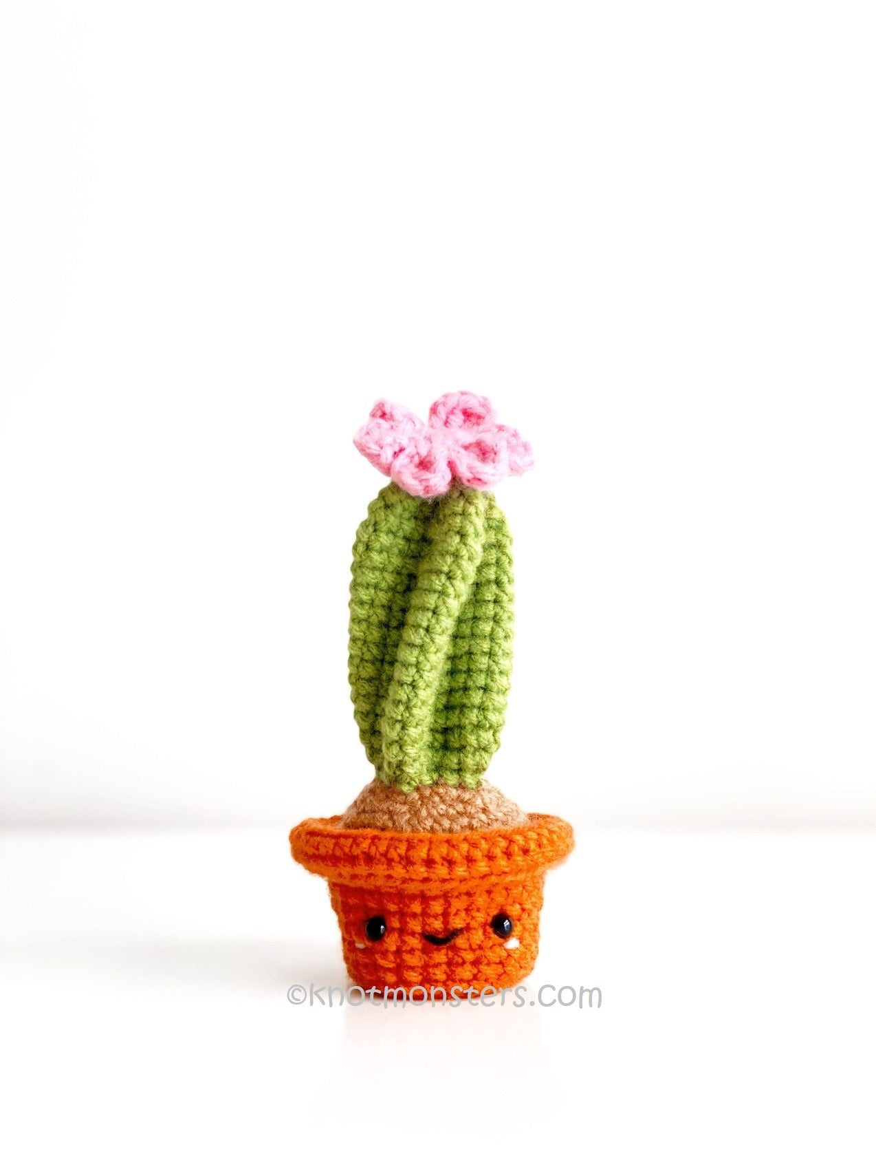Cactus Garden Edition (DIGITAL EBOOK) – Knotmonster