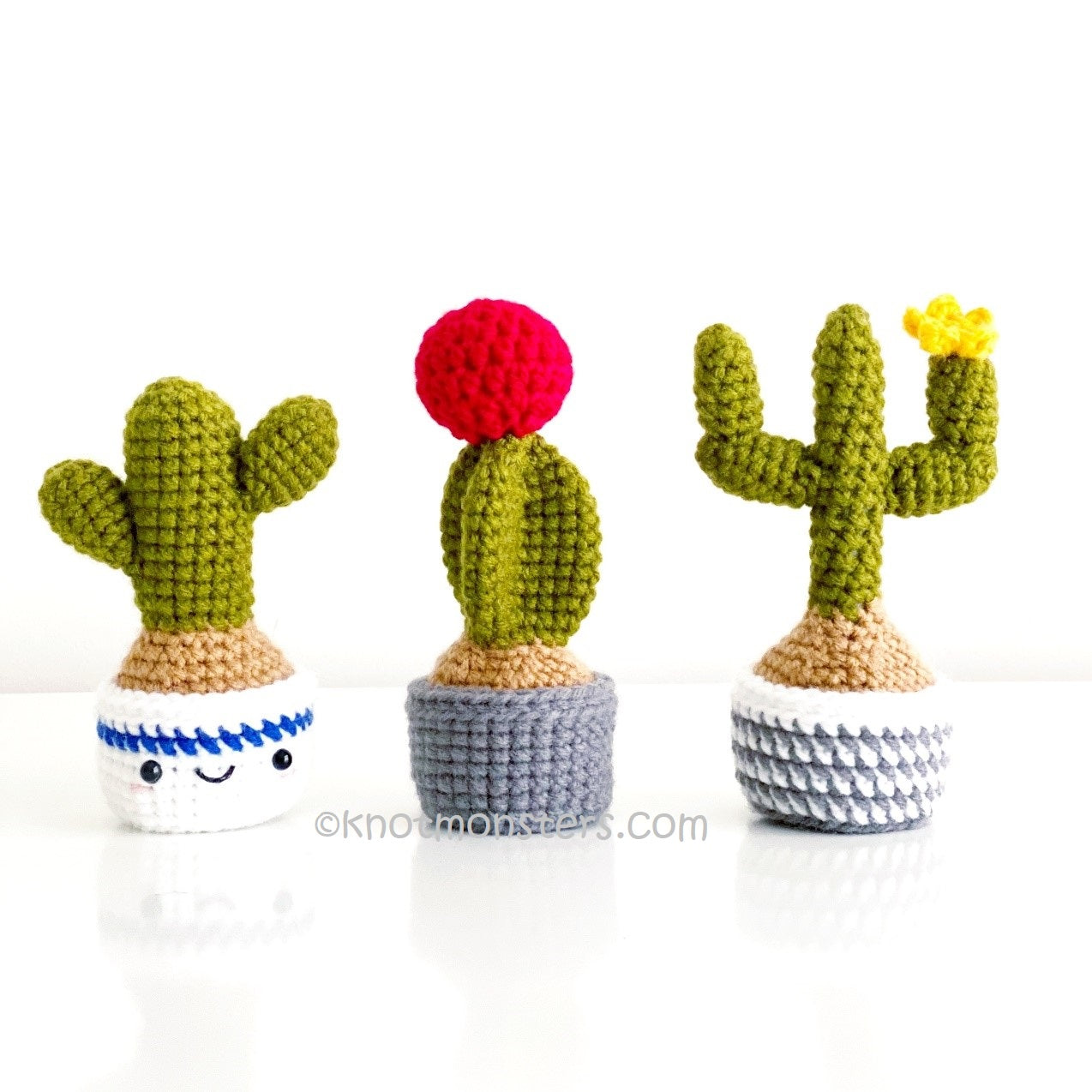 Cactus Garden Edition (DIGITAL EBOOK) – Knotmonster