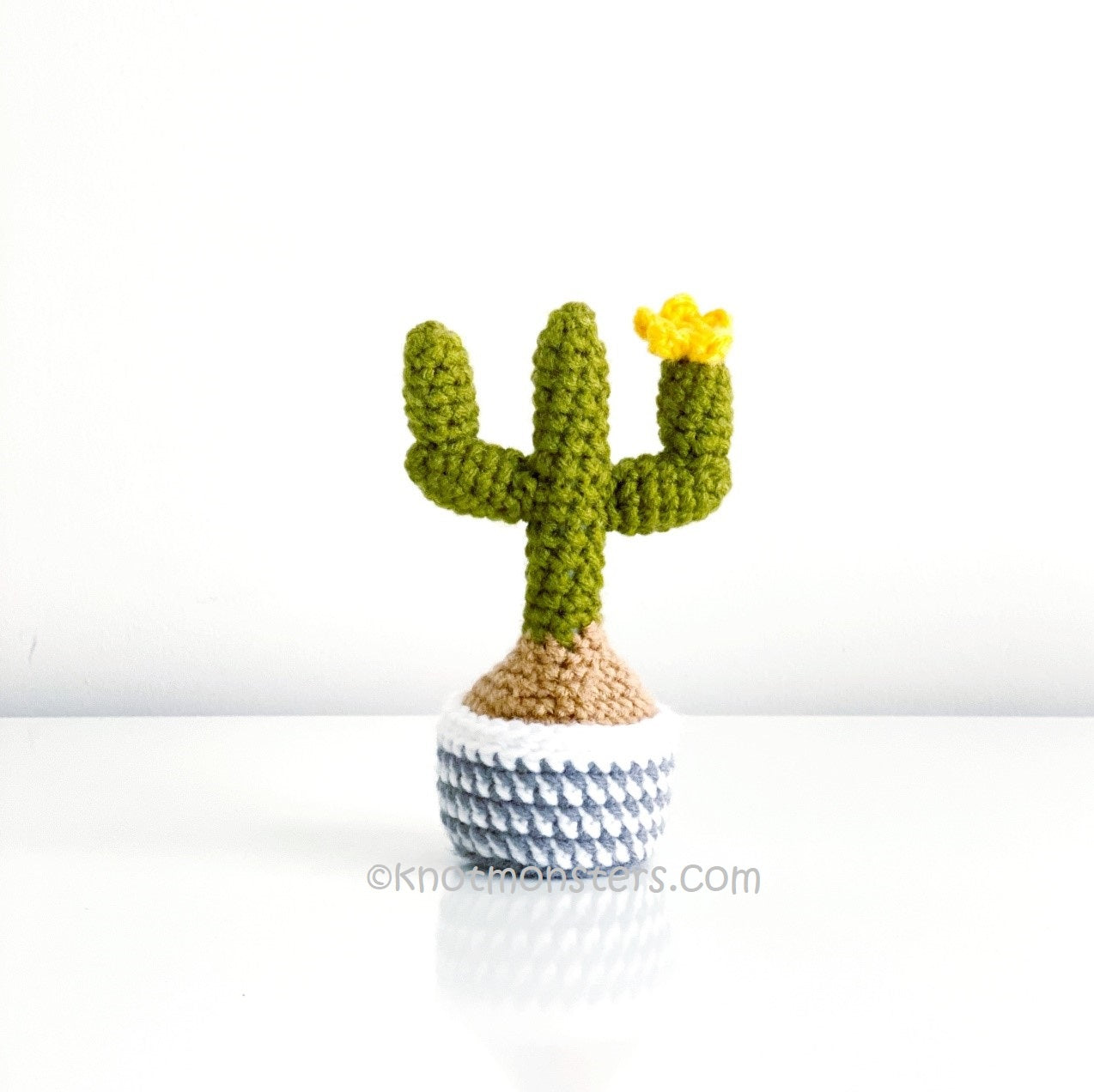 Cactus Garden Edition (DIGITAL EBOOK) – Knotmonster